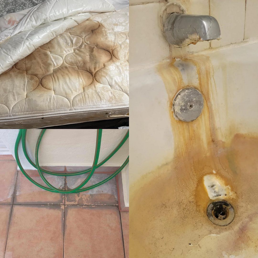 15 χριστουγεννιάτικα clean tips για να λάμπει το σπίτι σας αυτές τις γιορτές