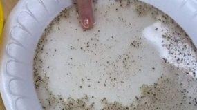 Κορωνοϊός: Δείτε πώς το σαπούνι καταπολεμά τα «μικρόβια» (vid)