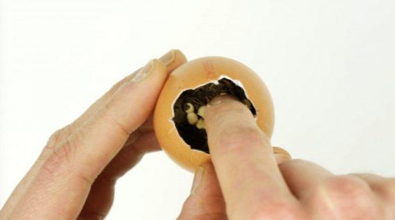 γεμίζει το τσόφλι του αυγού με οργανικό χώμα και βάζει στη κορυφή τους σπόρους της πιπεριάς