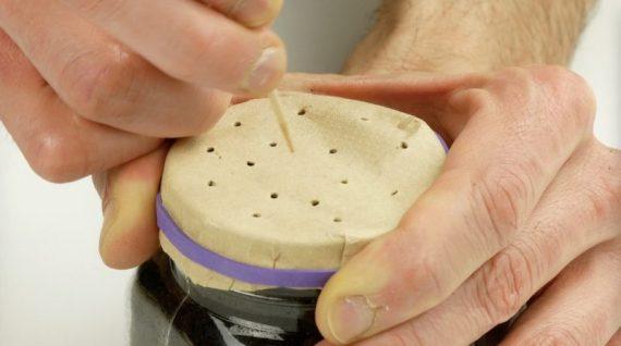 κάνει τρύπες με την οδοντογλυφίδα στο φίλτρο καφέ έτσι ώστε να φυτέψει μανιτάρια