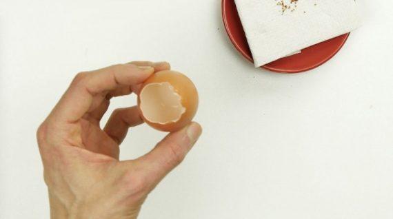 κάνει μια τρύπα στην κορυφή ενός αυγού και αδειάζει το αυγό από το ασπράδι και τον κρόκο έτσι ώστε να φυτέψει μια φραουλιά στον κήπο του
