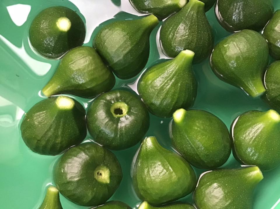 γλυκό σύκο 2