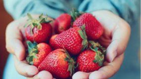 Οφέλη & κίνδυνοι που κρύβουν οι φράουλες για την υγεία & πως βοηθούν στην εγκυμοσύνη
