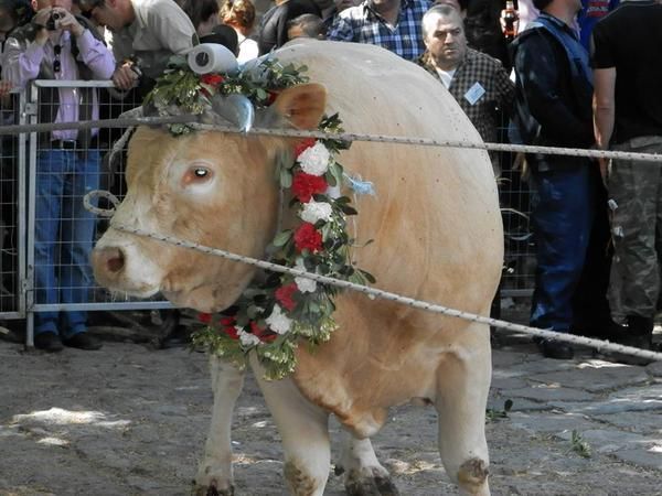 Κυριακή των Μυροφόρων: Τιμούμε τις Μυροφόρες τη δεύτερη Κυριακή του Πάσχα