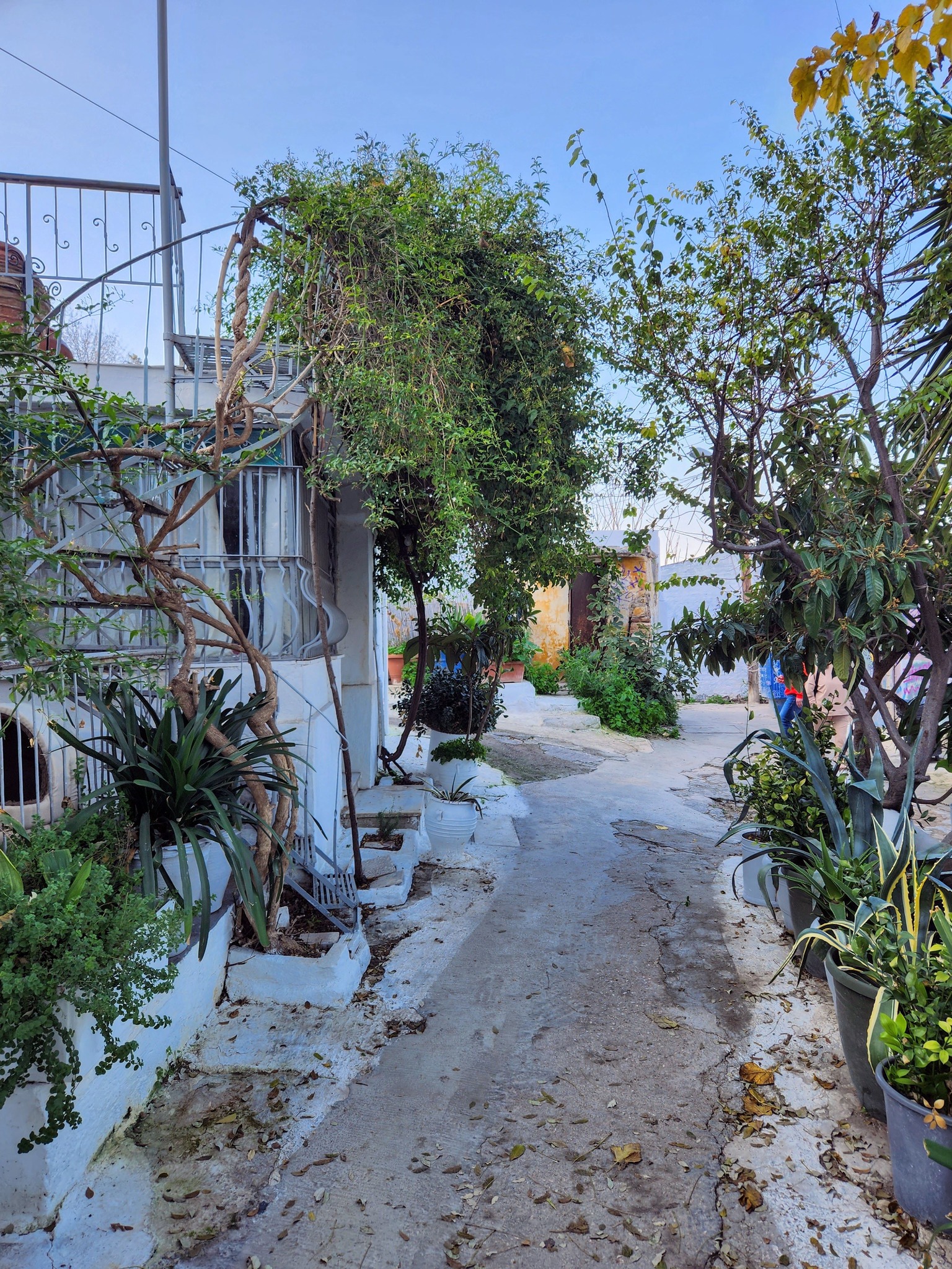 Αναφιώτικα: Η μαγική συνοικία της Αθήνας που μοιάζει περισσότερο με...κυκλαδίτικο νησί!