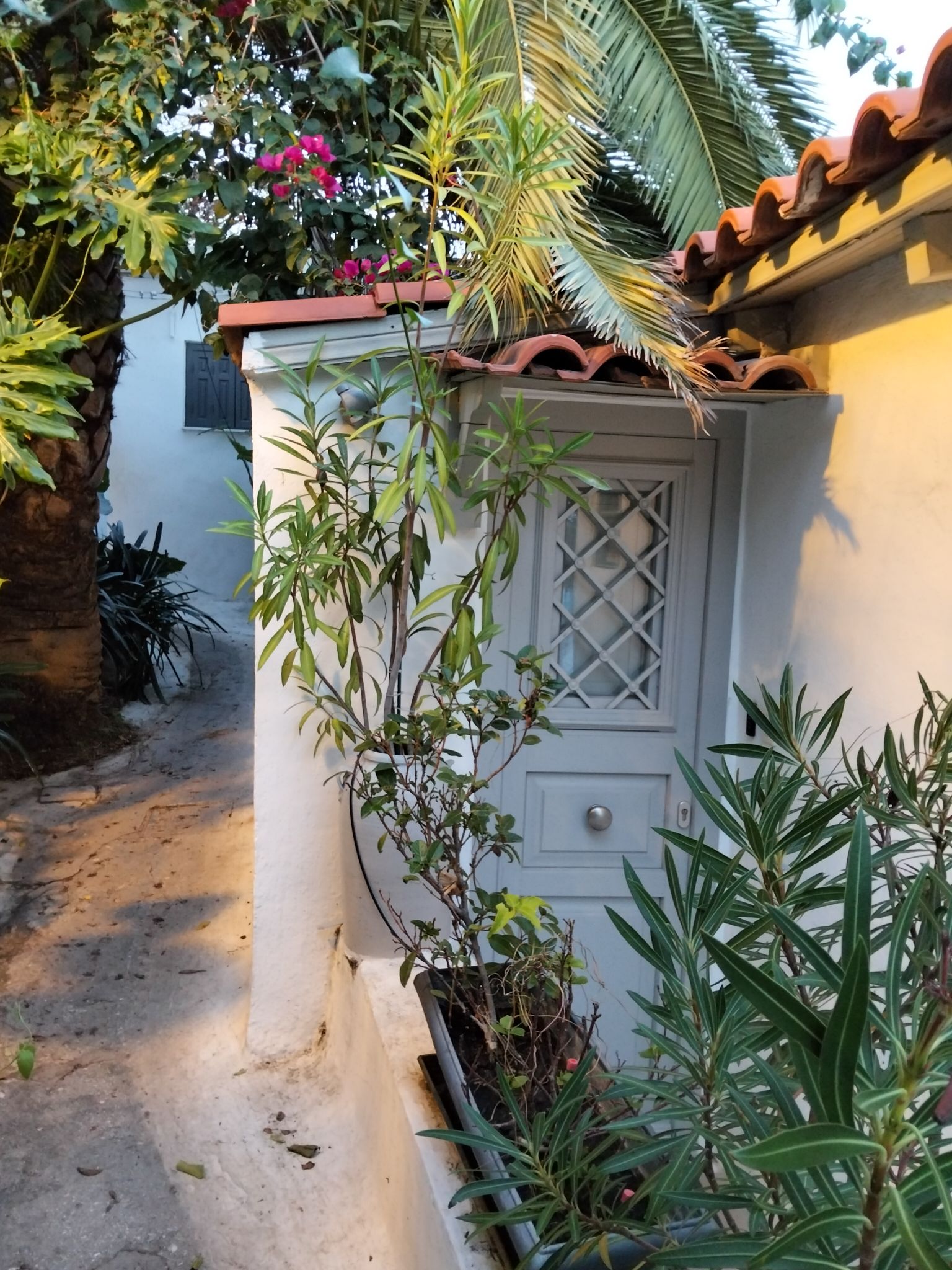 Αναφιώτικα: Η μαγική συνοικία της Αθήνας που μοιάζει περισσότερο με...κυκλαδίτικο νησί!