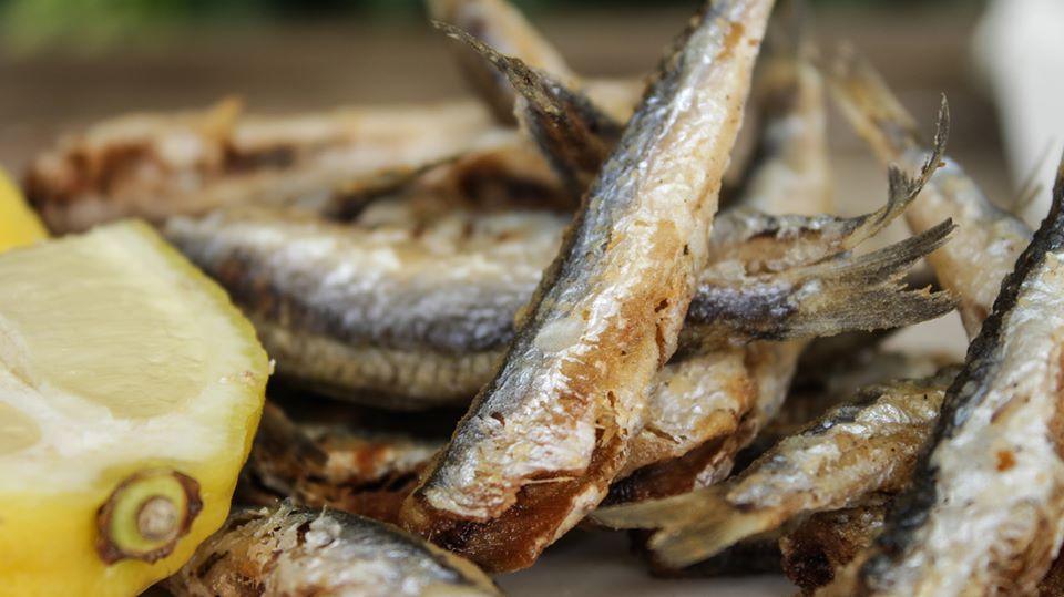 γαύρος τηγανητός