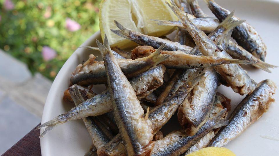 γαύρος τηγανητός 3