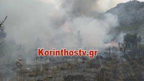 Μεγάλη φωτιά στην Κορινθία: Εκκενώνονται οικισμοί