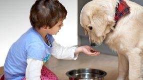 Σκύλοι & Γάτες: Από ποιο δάγκωμα είναι πιο πιθανό να μολυνθεί ένα παιδί; Παιδίατρος εξηγεί
