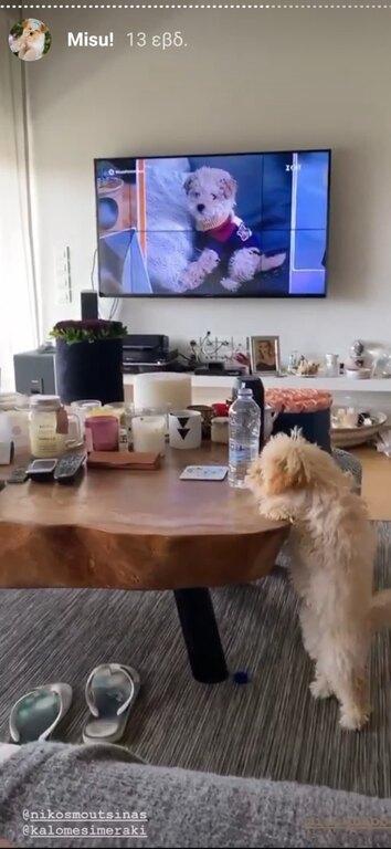 Κωνσταντίνα Σπυροπούλου σπίτι 