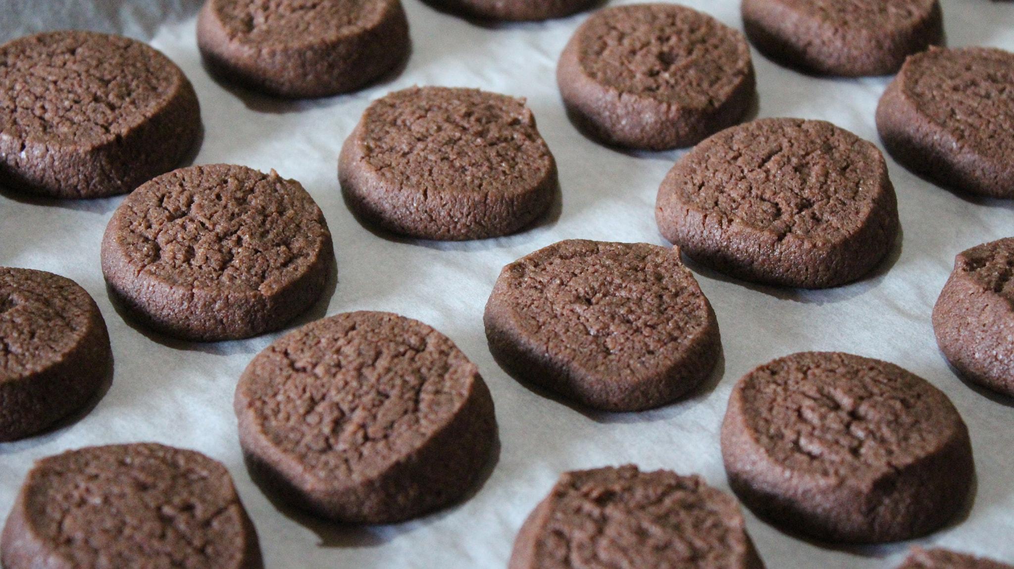 εύκολα μπισκότα με κακάο