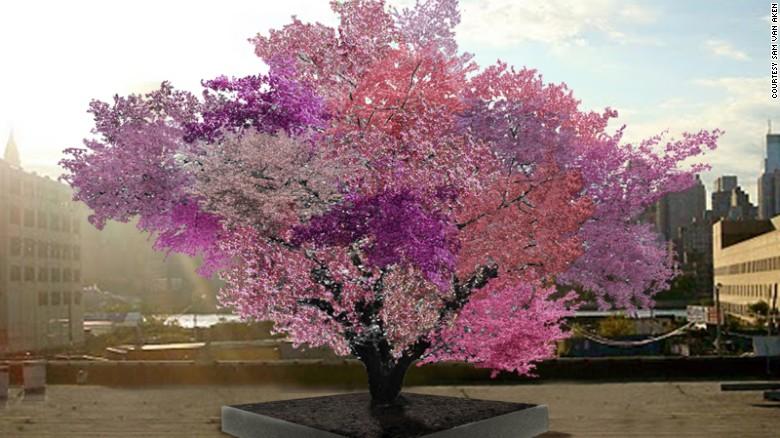 Απίστευτο: Υπάρχει δέντρο που παράγει 40 διαφορετικούς καρπούς! (βίντεο)