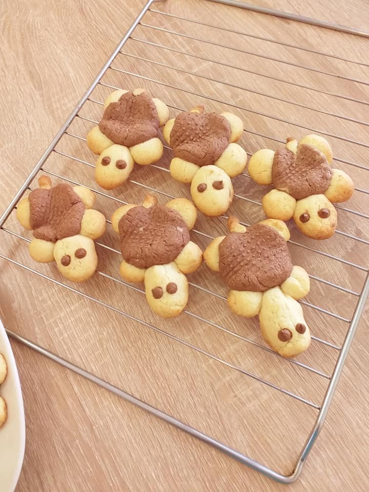 Υπέροχα μπισκότα σε σχήμα χελώνας για τα το παιδικό party! 