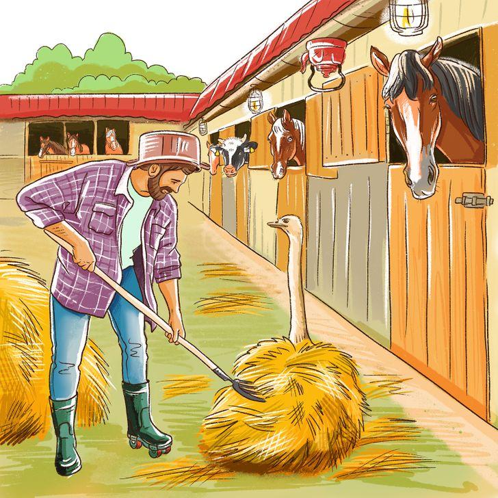 test παρατηρητικότητας: αγρότης σε στάβλο 