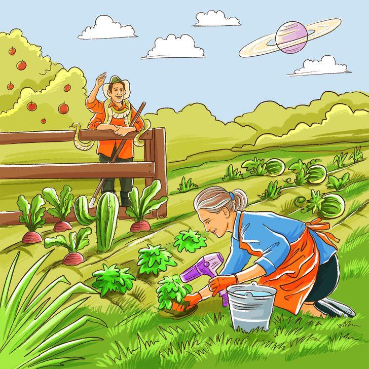 test παρατηρητικότητας: αγρότες σε χωράφι 