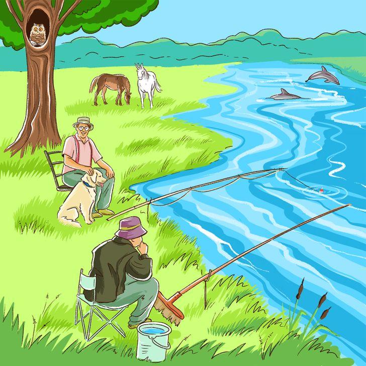 test παρατηρητικότητας: ψάρεμα σε λίμνη 