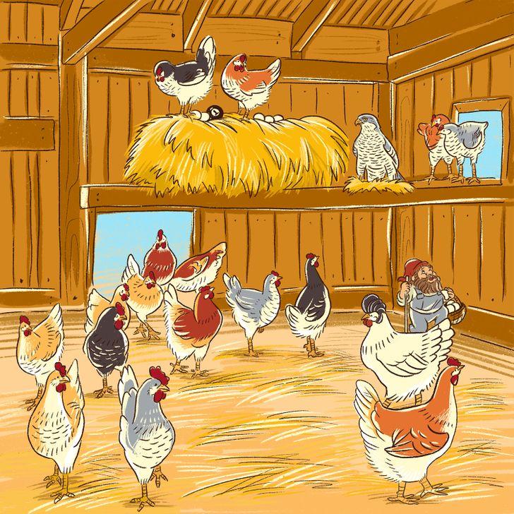 test παρατηρητικότητας: κότες στο κοτέτσι 