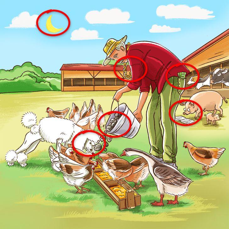 test παρατηρητικότητας: φάρμα αποτελέσματα 