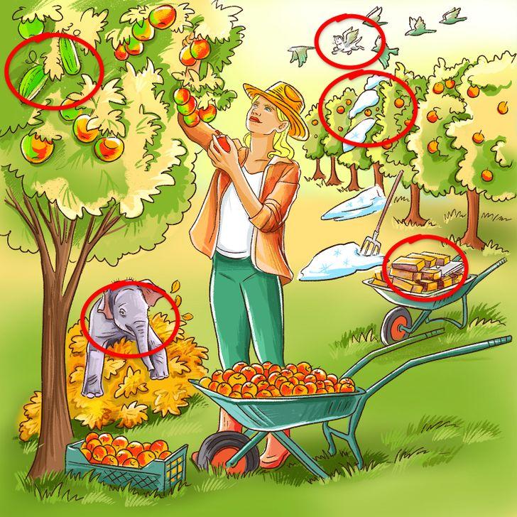 test παρατηρητικότητας: γυναίκα μαζεύει φρούτα από το δέντρο αποτελέσματα 