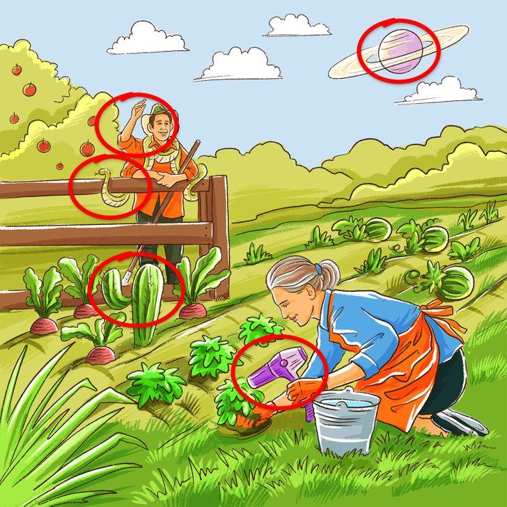 test παρατηρητικότητας: αγρότες στα χωράφια αποτελέσματα 