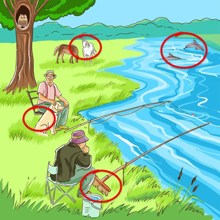 test παρατηρητικότητας: ψάρεμα στην λίμνη αποτελέσματα 