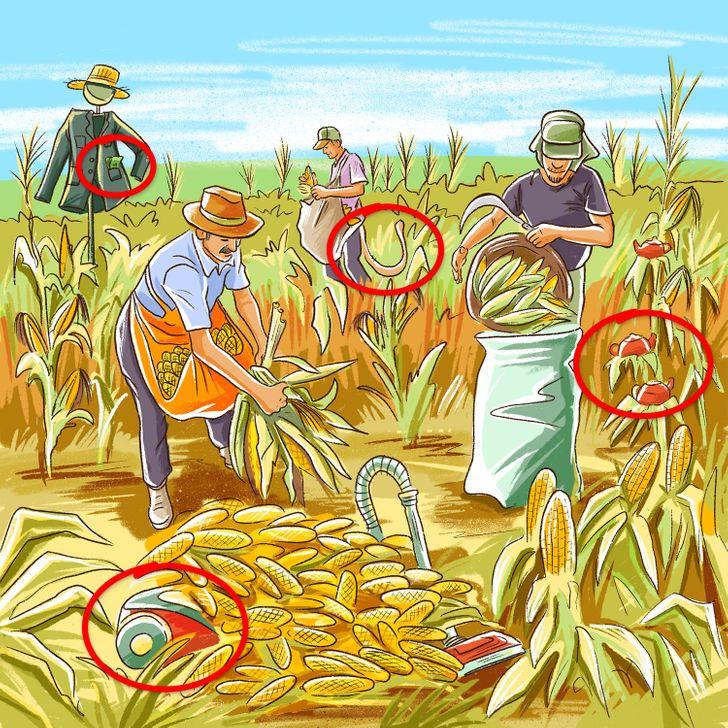 test παρατηρητικότητας: αγρότες σε χωράφι με καλαμπόκια αποτελέσματα 