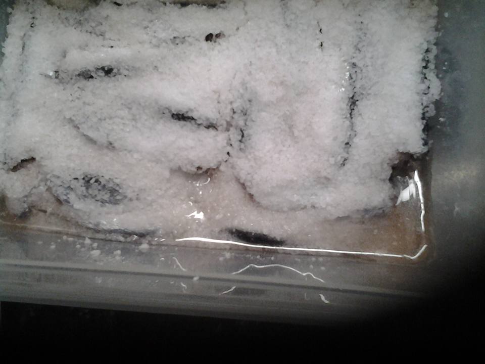 συνταγή για παστές σαρδέλες 