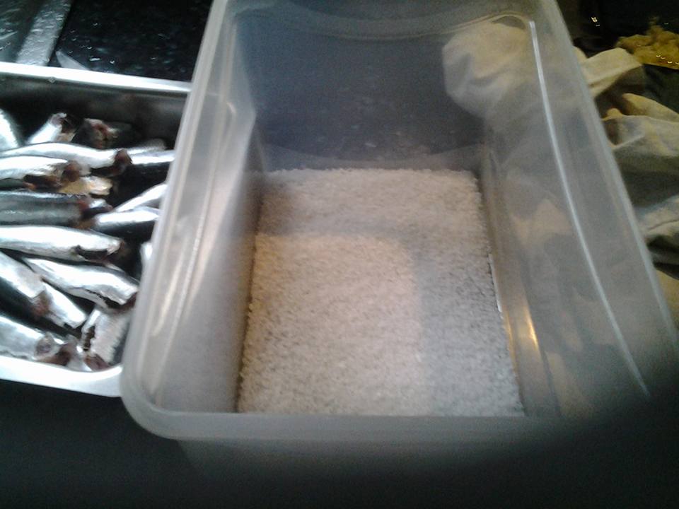 συνταγή για παστές σαρδέλες 