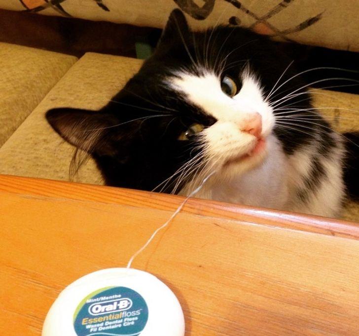 12 λάθη που όλοι οι γονείς έχουν κάνει: δεν χρησιμοποιούμε οδοντικό νήμα και στα παιδιά 12 λάθη που όλοι οι γονείς έχουν κάνει: δεν χρησιμοποιούμε οδοντικό νήμα και στα παιδιά