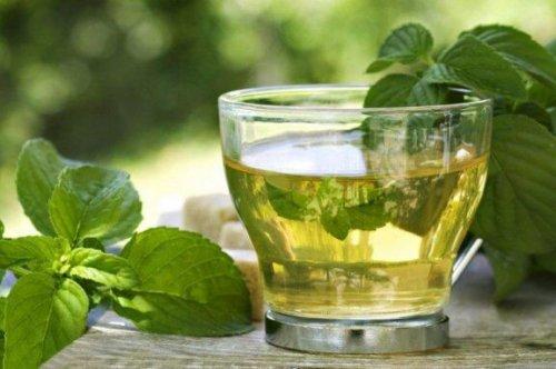 Σπιτικό ρόφημα πορτοκάλι για γρήγορη απώλεια βάρους πράσινο τσάι με μέντα