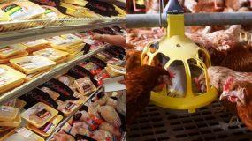 Φτηνά κοτόπουλα μπορεί να προκαλέσουν πανδημία χειρότερη του κορονοϊού