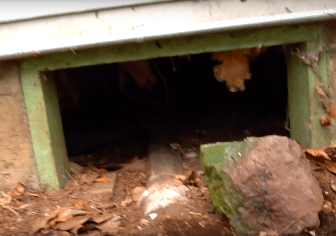 παιδί έπεσε στον αεραγωγό είδηση παιδί έπεσε στον αεραγωγό είδηση