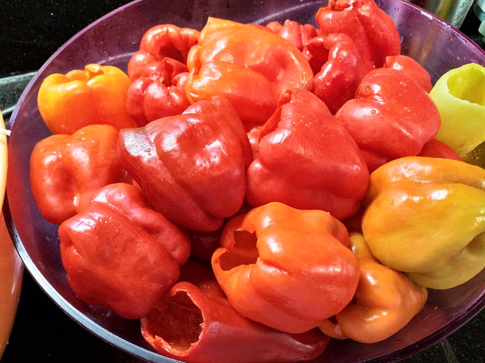  Κόκκινες πιπεριές για πολίτικη σαλάτα σε τουρσί