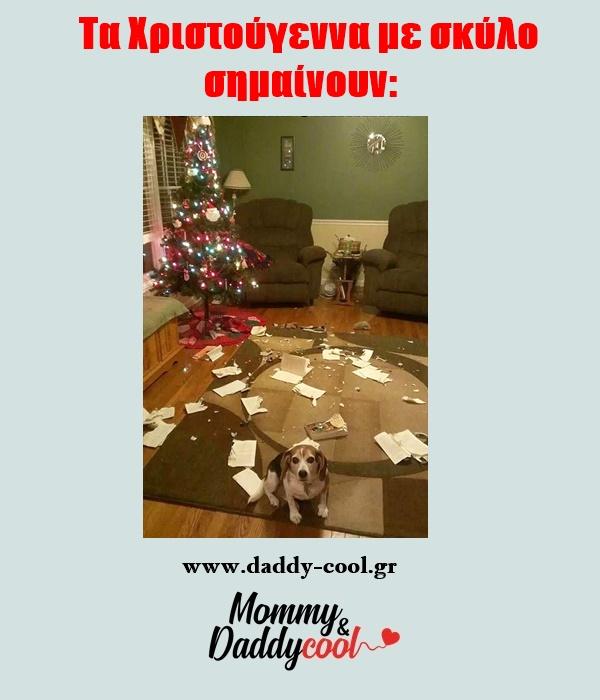 αστείες χριστουγεννιάτικες εικόνες με σκύλο αστείες χριστουγεννιάτικες εικόνες με σκύλο