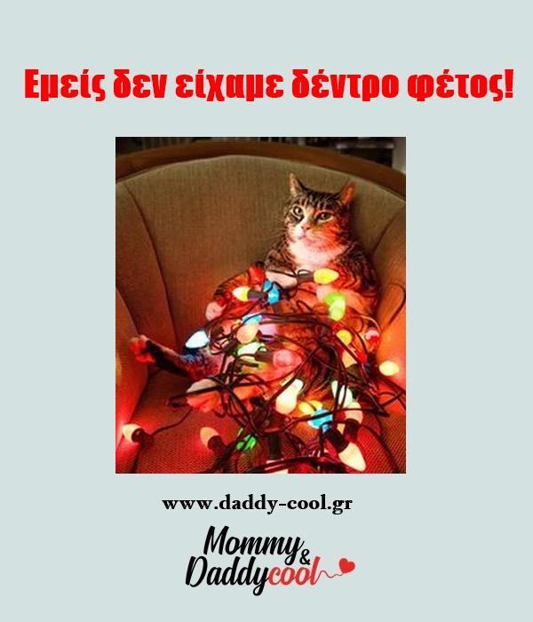 αστείες χριστουγεννιάτικες εικόνες με γάτες αστείες χριστουγεννιάτικες εικόνες με γάτες