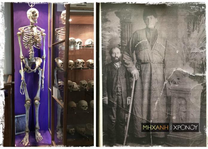 Σχεδόν 2.40: Ο γίγαντας της Πτολεμαΐδας που ο σκελετός του παραδόθηκε στο εργαστήριο του Πανεπιστημίου Αθηνών