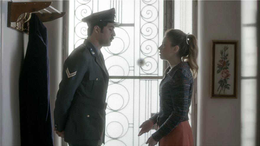 Άγριες Μέλισσες _