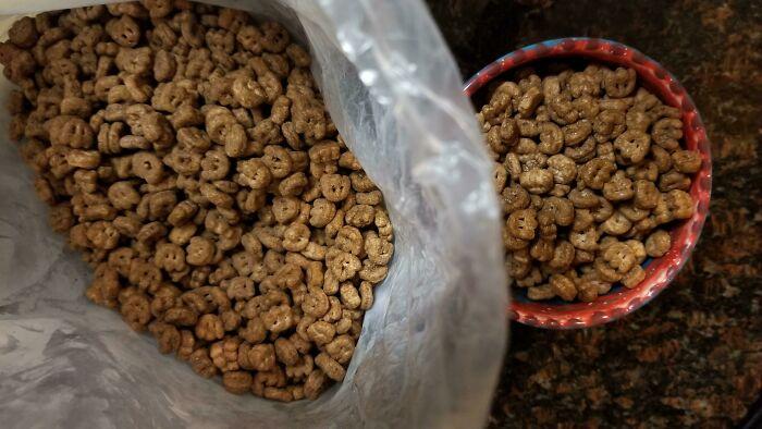 ξεκαρδιστικές φωτογραφίες_συγκατοίκηση_