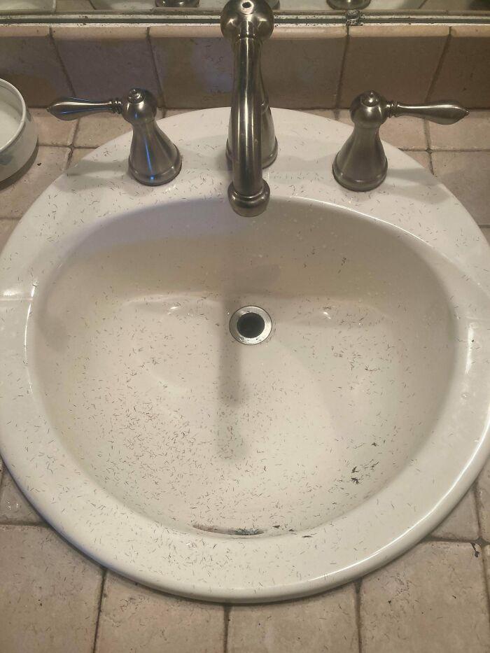 ξεκαρδιστικές φωτογραφίες_συγκατοίκηση_