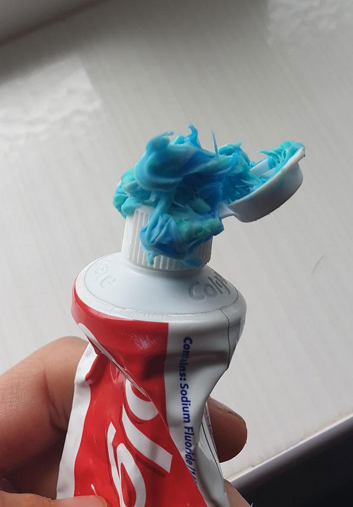 ξεκαρδιστικές φωτογραφίες_συγκατοίκηση_