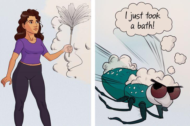 οι_μύγες_καθαρίζονται_πιο_πολύ_από_τους_ανθρώπους_