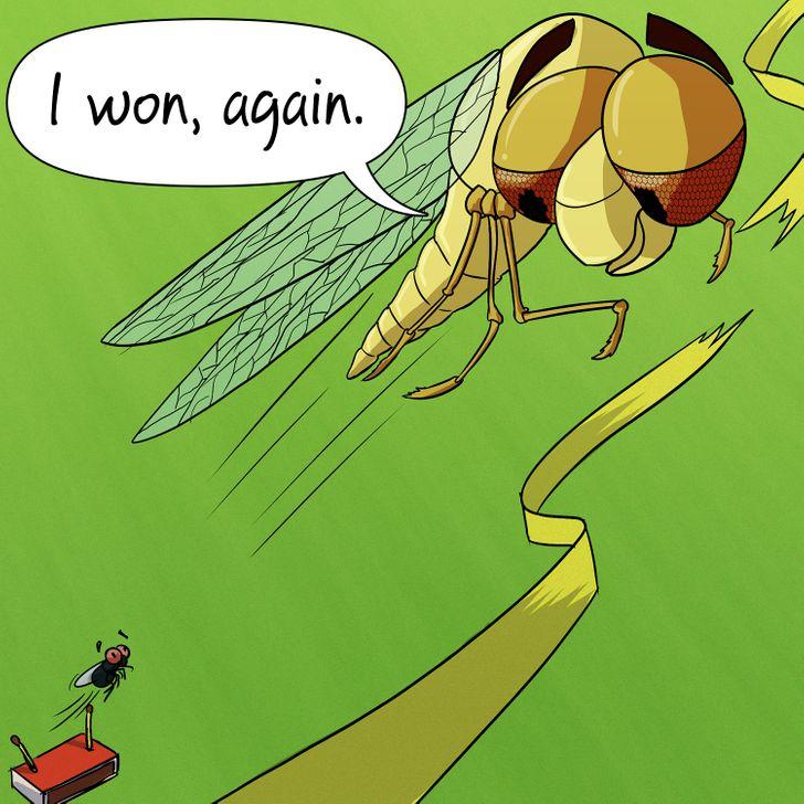 οι_μύγες_δεν_είναι_τόσο_γρήγορες_