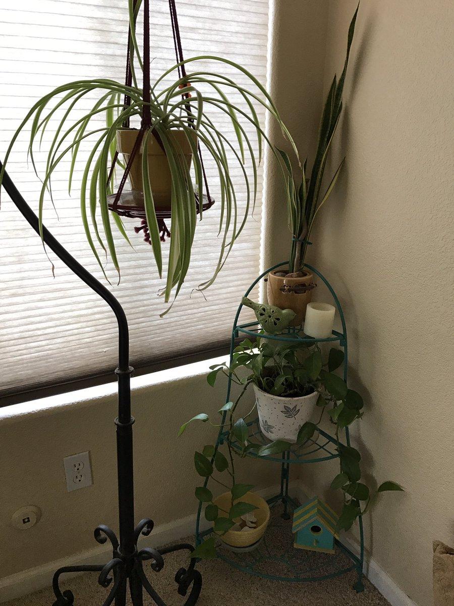 19_φωτογραφίες_που_μας_θυμίζουν_την_γιαγιά_