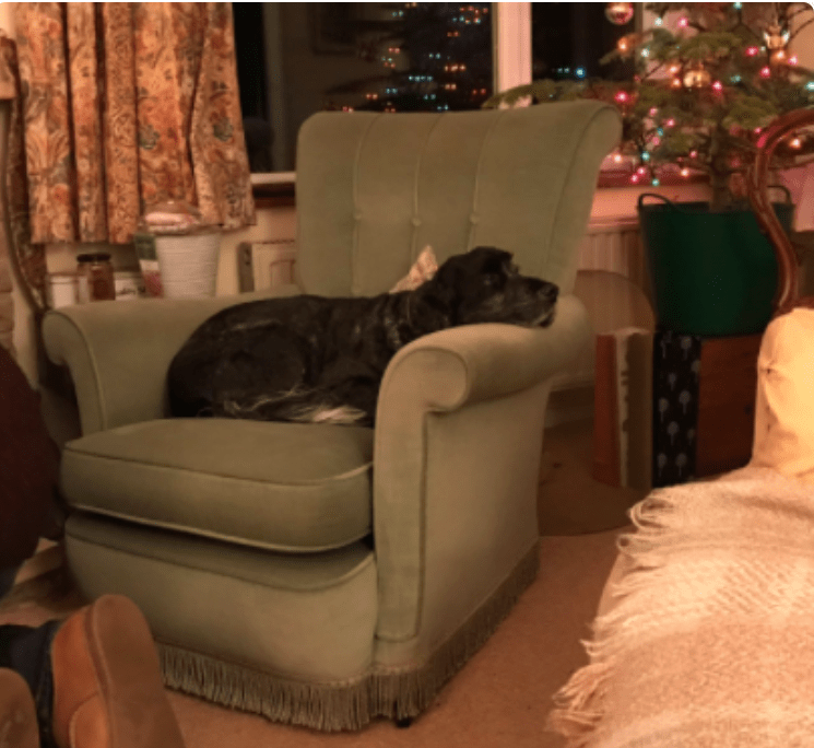 19_φωτογραφίες_που_μας_θυμίζουν_την_γιαγιά_ Πολυθρόνα_ 