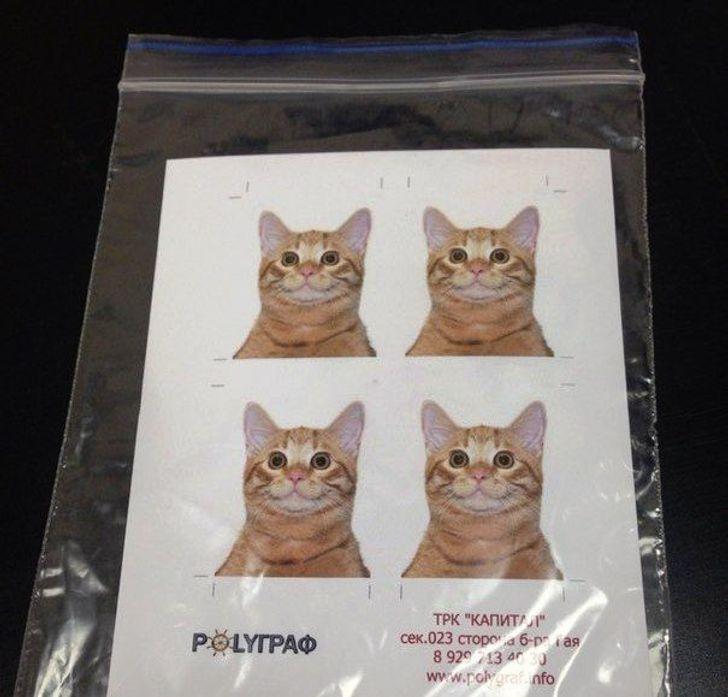 Άνθρωποι_ περιγράφουν _την δουλειά τους_ μέσα από φωτογραφίες_ Άνθρωποι_ περιγράφουν _την δουλειά τους_ μέσα από φωτογραφίες_