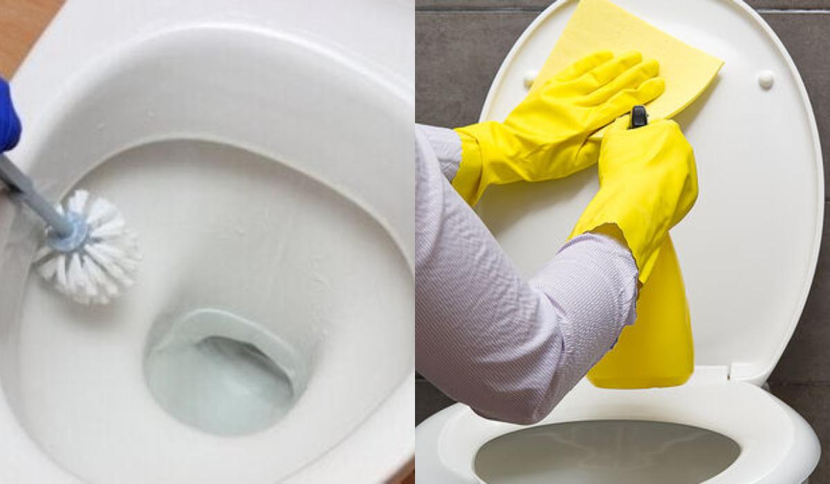 Καπάκι τουαλέτας: Ο τρόπος για να το καθαρίσετε για να γίνει ξανά λευκό_