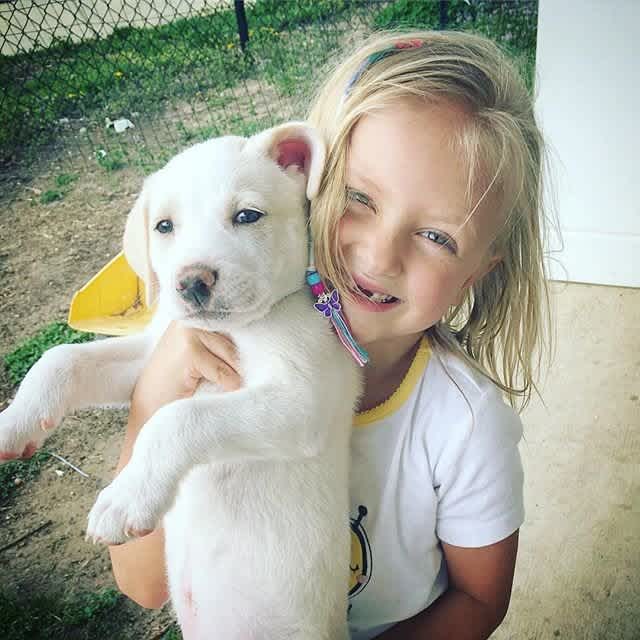 Ένα αγòρι μου είπε να μην φοράω μπλουζάκια που δείχνουν τις ουλές μου από καρκίνο γιατί τρομάζει - Το συγκινητικό γράμμα μητέρας