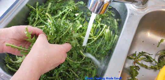 ραδίκια_σαλάτα_συνταγή_