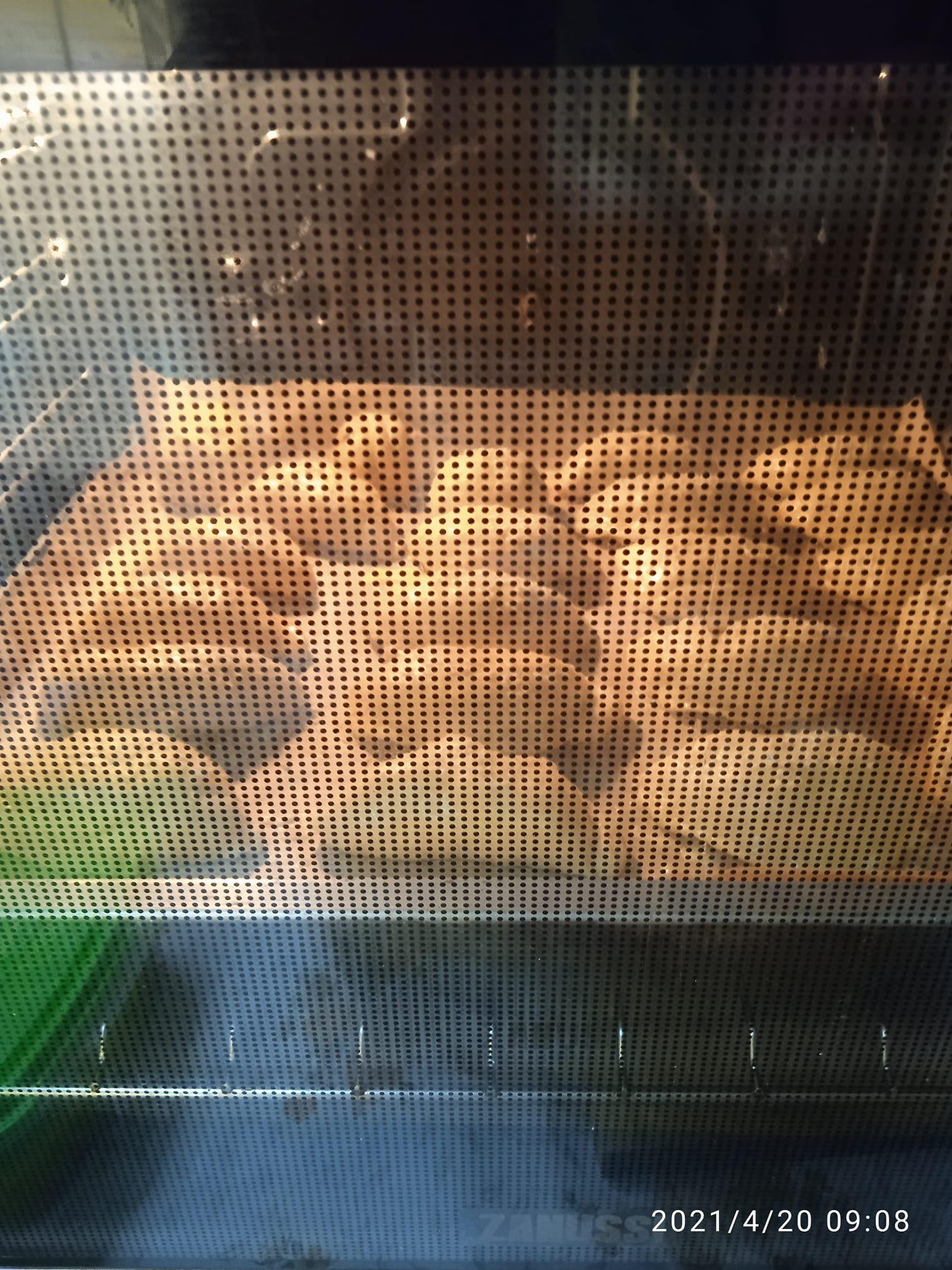 Κοτοπιτάκια _αφράτα_ Συνταγή_ 